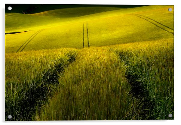 Rolling wheat fields Acrylic by Robert Fielding