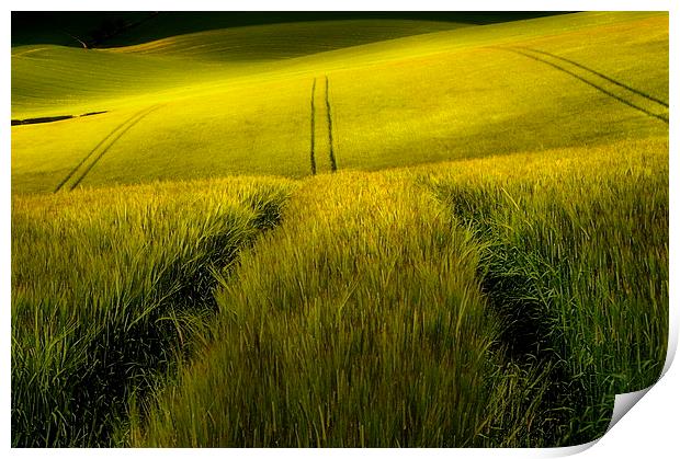 Rolling wheat fields Print by Robert Fielding