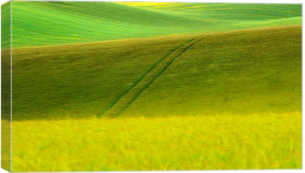 Abstract of landscape colour Canvas Print by Robert Fielding