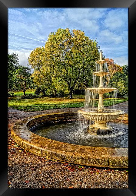 Sheffield Botanical Gardens Fountain Framed Print by Darren Galpin