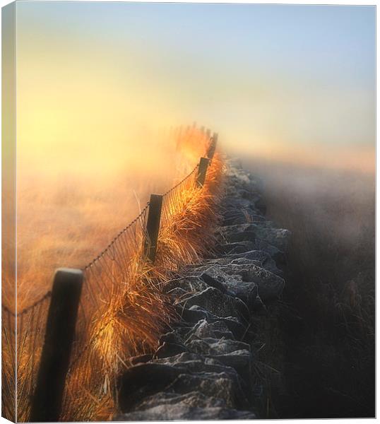 Moorland mists Canvas Print by Robert Fielding