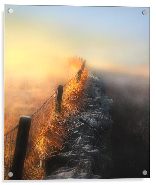 Moorland mists Acrylic by Robert Fielding