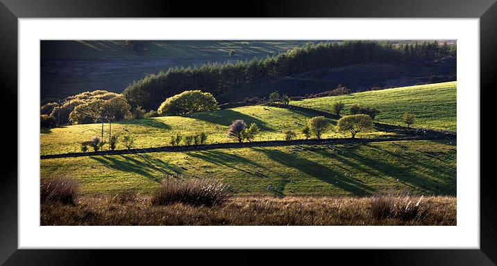 Fields of Brecon Framed Mounted Print by Leighton Collins