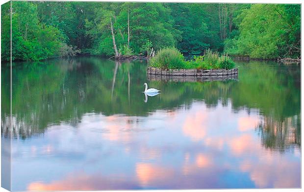 Evening Light At Headley Mill Pond Canvas Print by Mark  F Banks