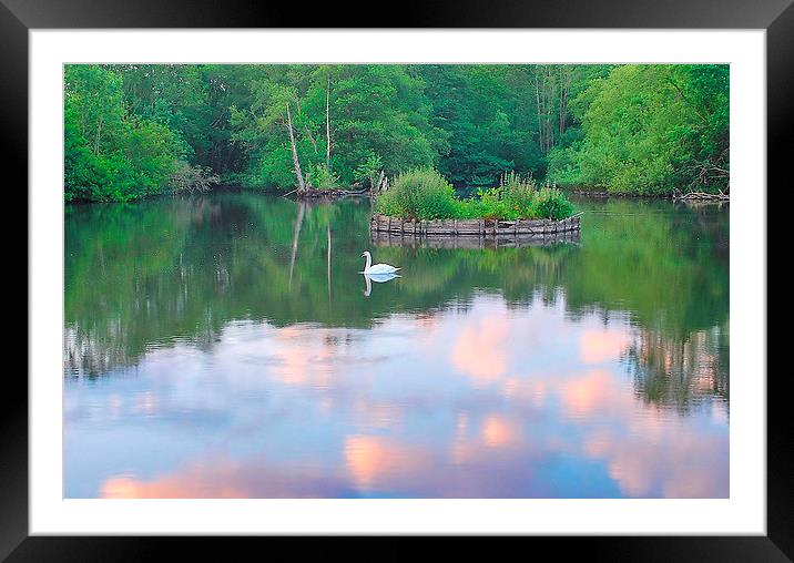 Evening Light At Headley Mill Pond Framed Mounted Print by Mark  F Banks