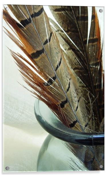 pheasant feathers Acrylic by Heather Newton