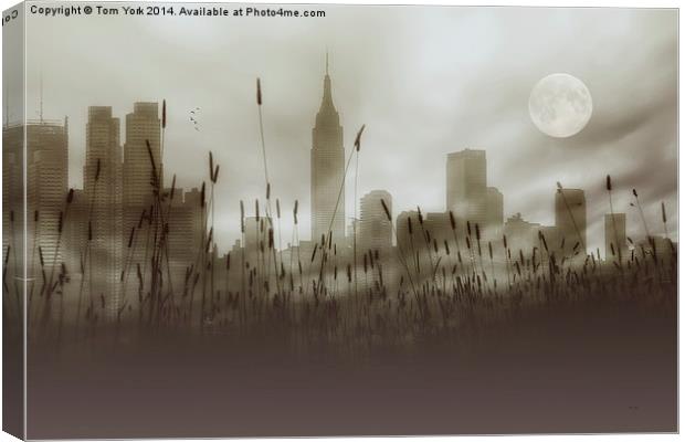 New York In The Fog Canvas Print by Tom York