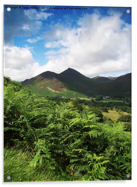 Causey Pike From Catbells Acrylic by Tony Johnson