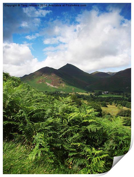 Causey Pike From Catbells Print by Tony Johnson