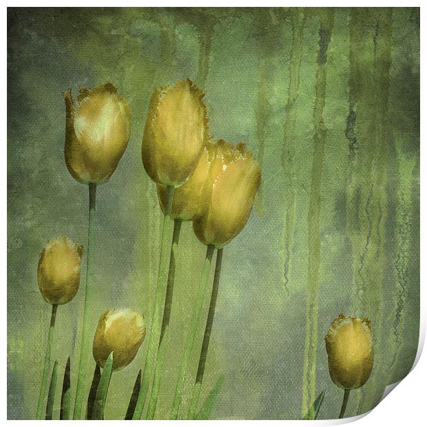 textured tulips (grunge yellow) Print by Heather Newton