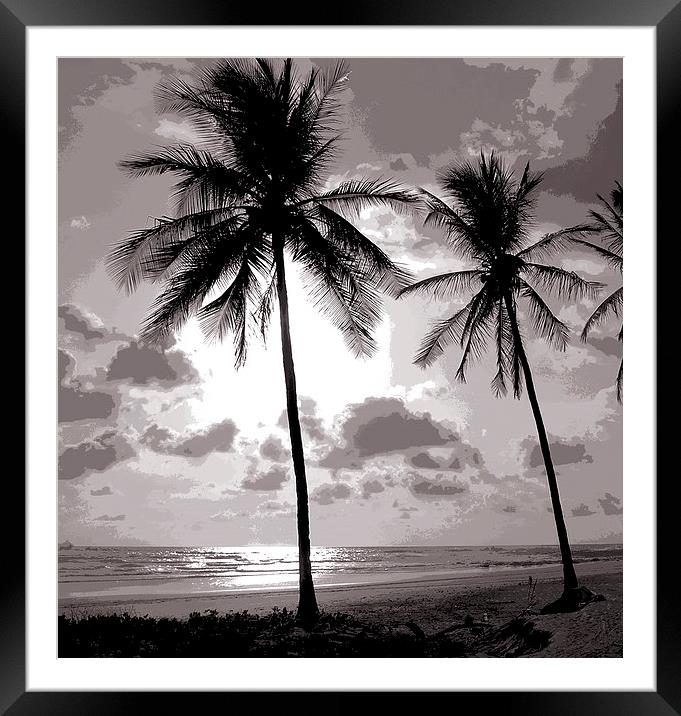 Duotone of Palm Trees Framed Mounted Print by james balzano, jr.