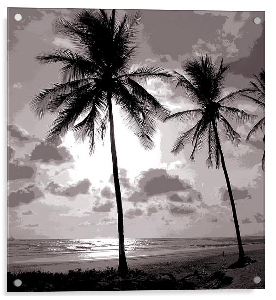 Duotone of Palm Trees Acrylic by james balzano, jr.