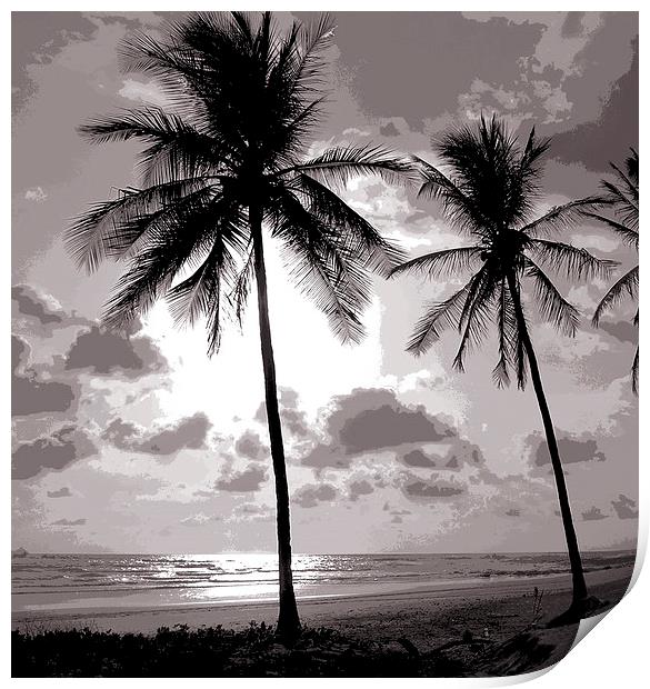 Duotone of Palm Trees Print by james balzano, jr.