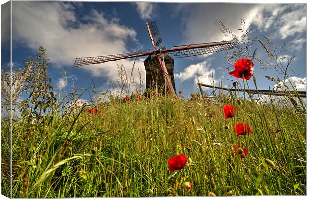 Windmill poppies Canvas Print by Rob Hawkins