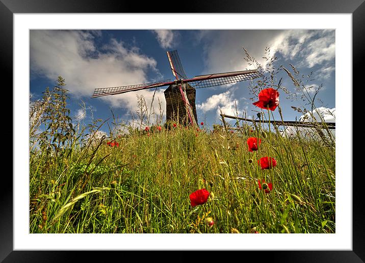 Windmill poppies Framed Mounted Print by Rob Hawkins