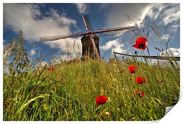 Windmill poppies Print by Rob Hawkins