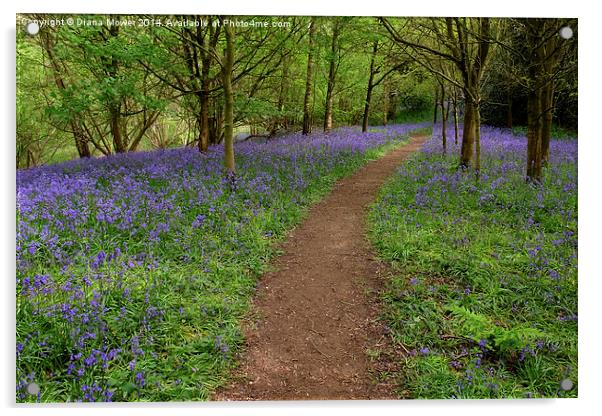 Bluebell Path Acrylic by Diana Mower