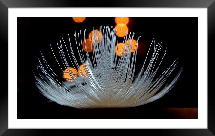 Bokeh on Feather Framed Mounted Print by Charlotte Moon
