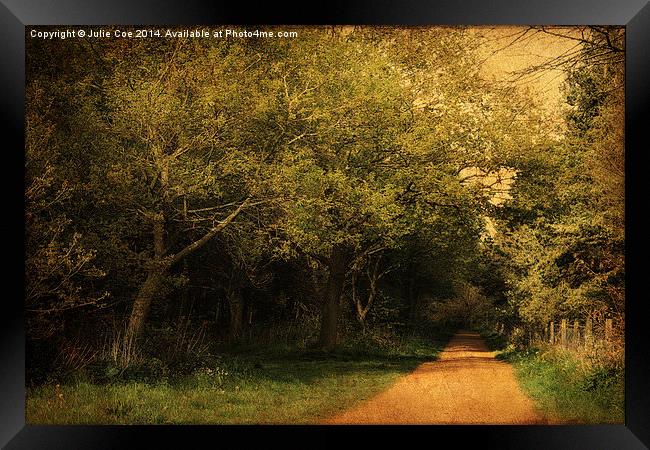 Blickling Woods 8 Framed Print by Julie Coe