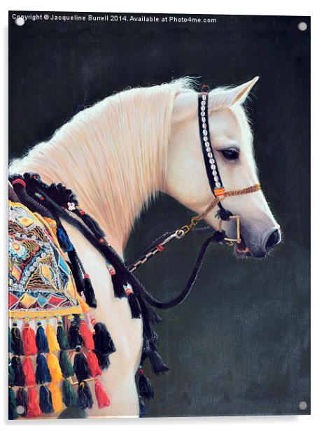 An Arabian Horse Acrylic by Jacqueline Burrell
