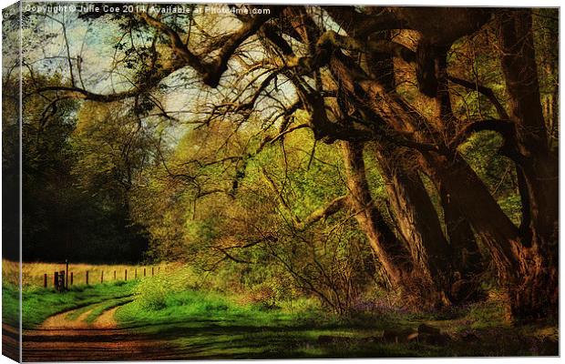 Blickling Woods 9 Canvas Print by Julie Coe