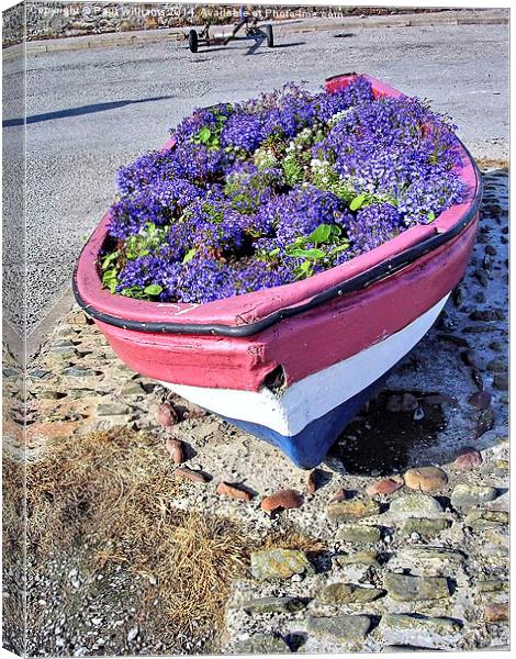 Floral  Boat Canvas Print by Paul Williams