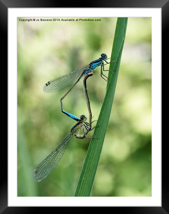 happy couple Framed Mounted Print by Jo Beerens