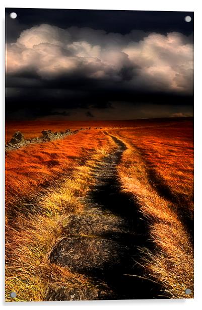 A moorland path Acrylic by Robert Fielding