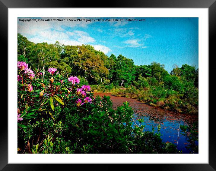 Tranquillity Lake Framed Mounted Print by Jason Williams