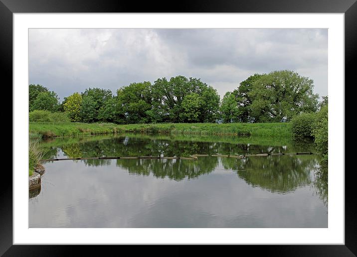 Side Pond Caen Hill Locks Framed Mounted Print by Tony Murtagh