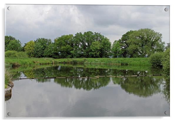 Side Pond Caen Hill Locks Acrylic by Tony Murtagh