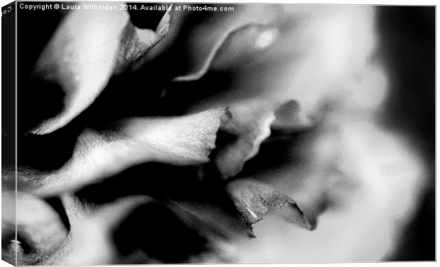 Carnation black and white Canvas Print by Laura Witherden