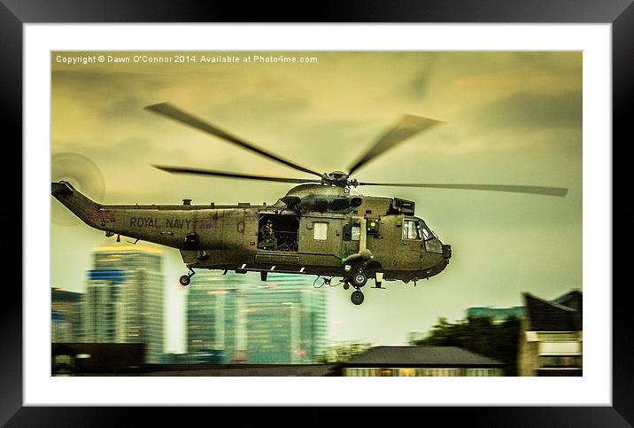 Sea King Helicoptor Framed Mounted Print by Dawn O'Connor