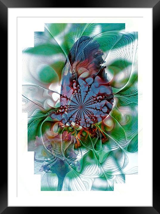 Butterfly 5 Framed Mounted Print by Amanda Moore