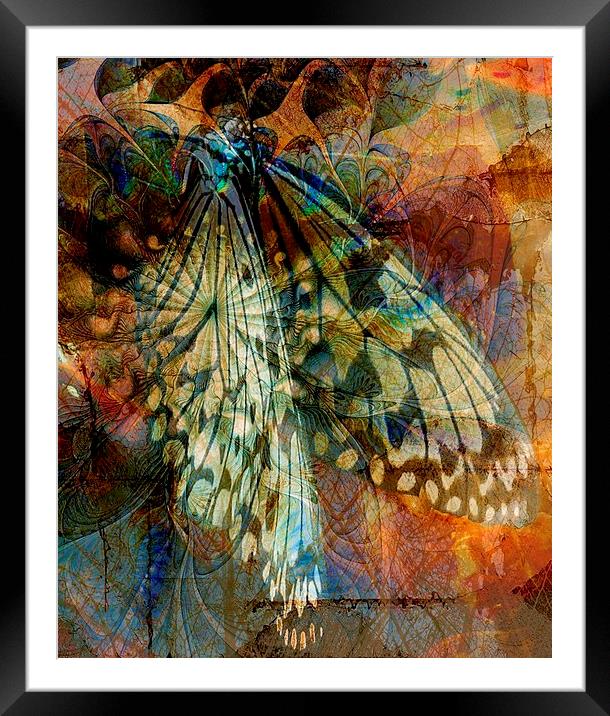 Butterfly Wings Framed Mounted Print by Amanda Moore