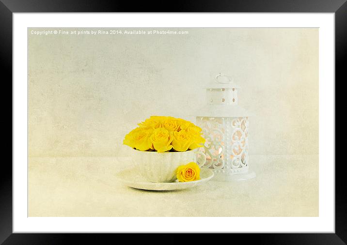 Rose by light Framed Mounted Print by Fine art by Rina
