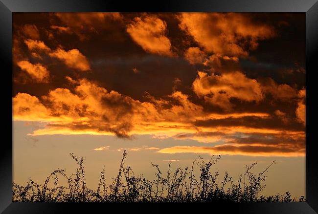 Orange Sky! Framed Print by daniel kennedy