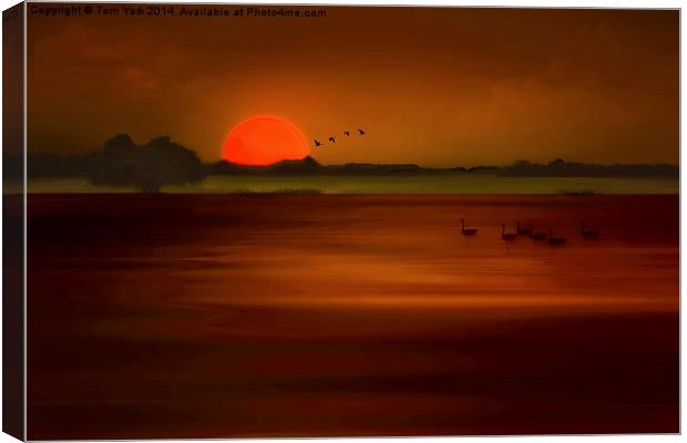 Orange Sunset Canvas Print by Tom York