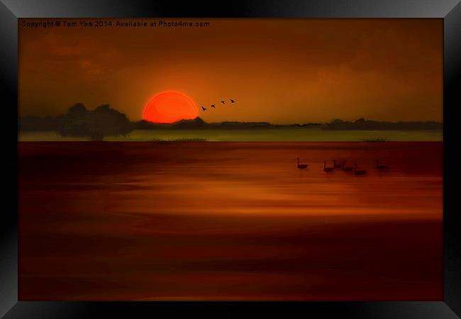 Orange Sunset Framed Print by Tom York