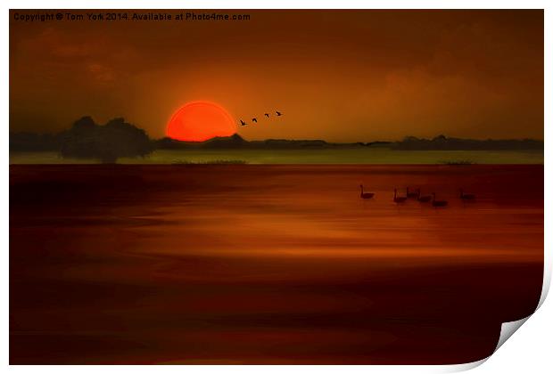 Orange Sunset Print by Tom York