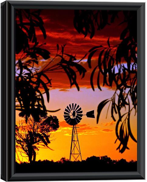 Mill in the Bush Canvas Print by Rod Last Name