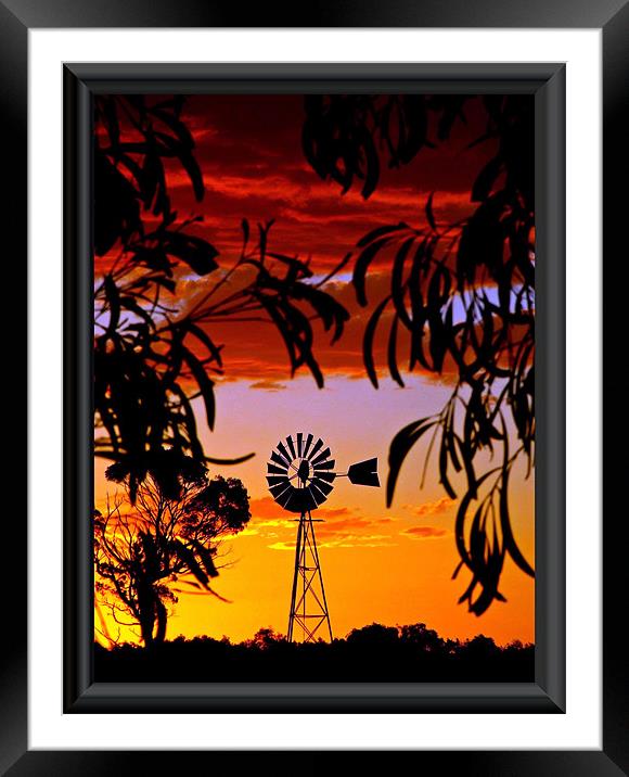Mill in the Bush Framed Mounted Print by Rod Last Name