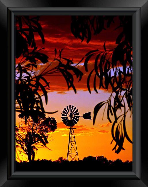 Mill in the Bush Framed Print by Rod Last Name