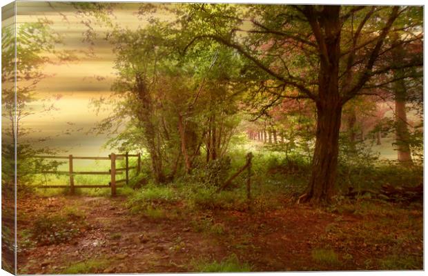 Early Morning. Canvas Print by Heather Goodwin