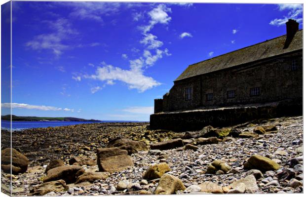 Island cottage Canvas Print by Karl Butler