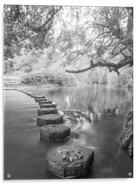 Stepping Stones Box Hill Acrylic by Clive Eariss