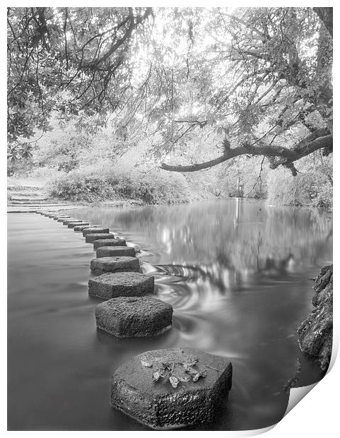 Stepping Stones Box Hill Print by Clive Eariss