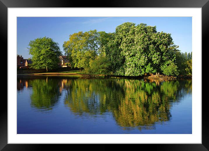 Hillsborough Park Reflections 2 Framed Mounted Print by Darren Galpin