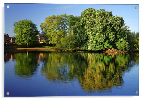Hillsborough Park Reflections 2 Acrylic by Darren Galpin