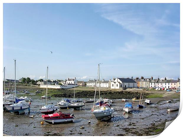 Isle of Whithorn Harbour Print by Paul Williams
